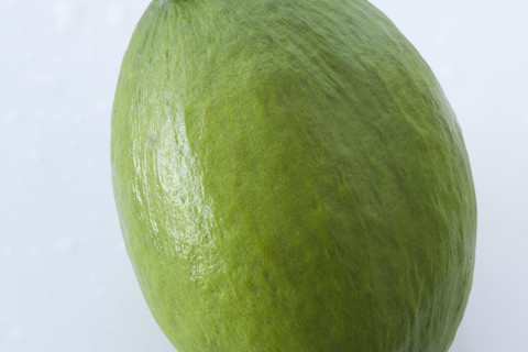 Feijoa