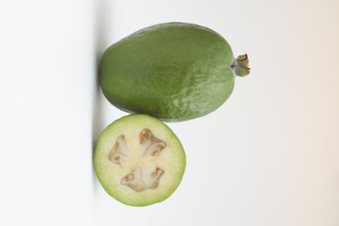 Feijoa