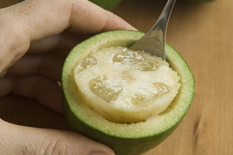 Feijoa